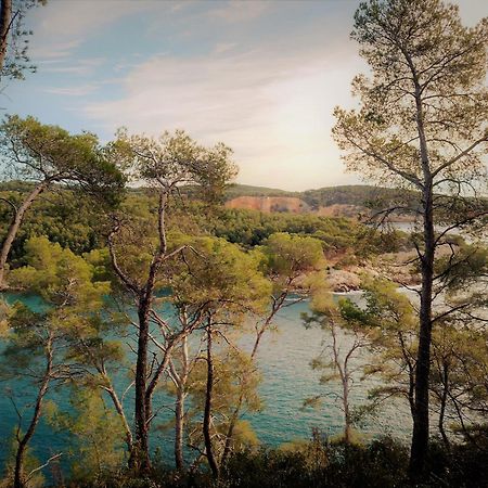 Les Pieds Tanques - Chambres D'Hotes - Calanque A Pieds Saint-Cyr-sur-Mer Exteriér fotografie